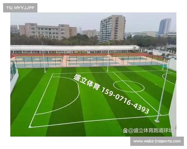 欧冠冬季比赛条件下北方球场草皮维护技术创新与应用探讨